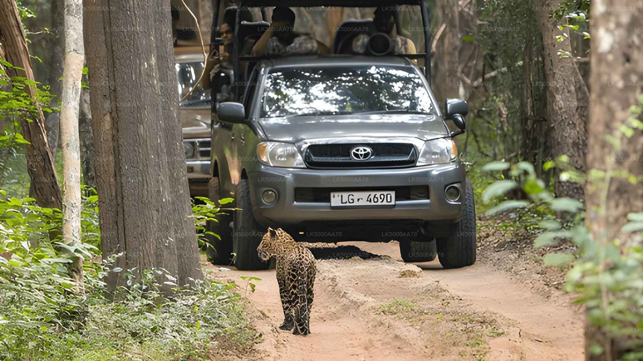 Privésafari in het Wilpattu National Park