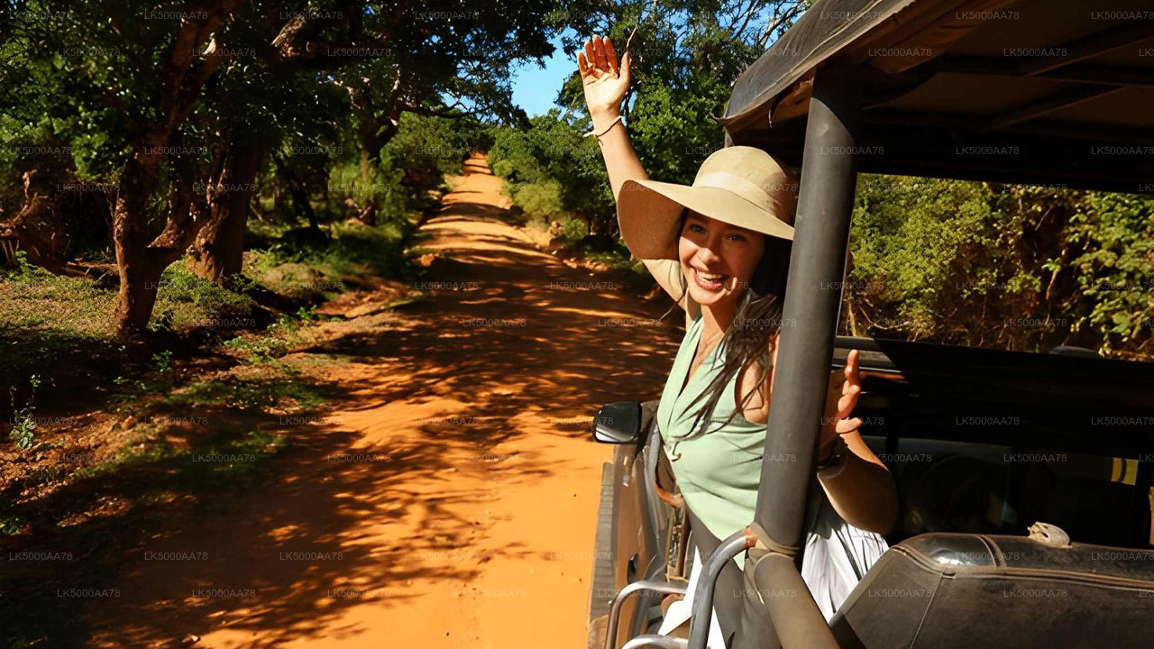 Privésafari in het Wilpattu National Park