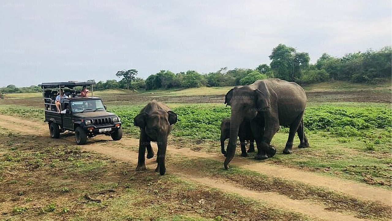 Privésafari in het Wilpattu National Park