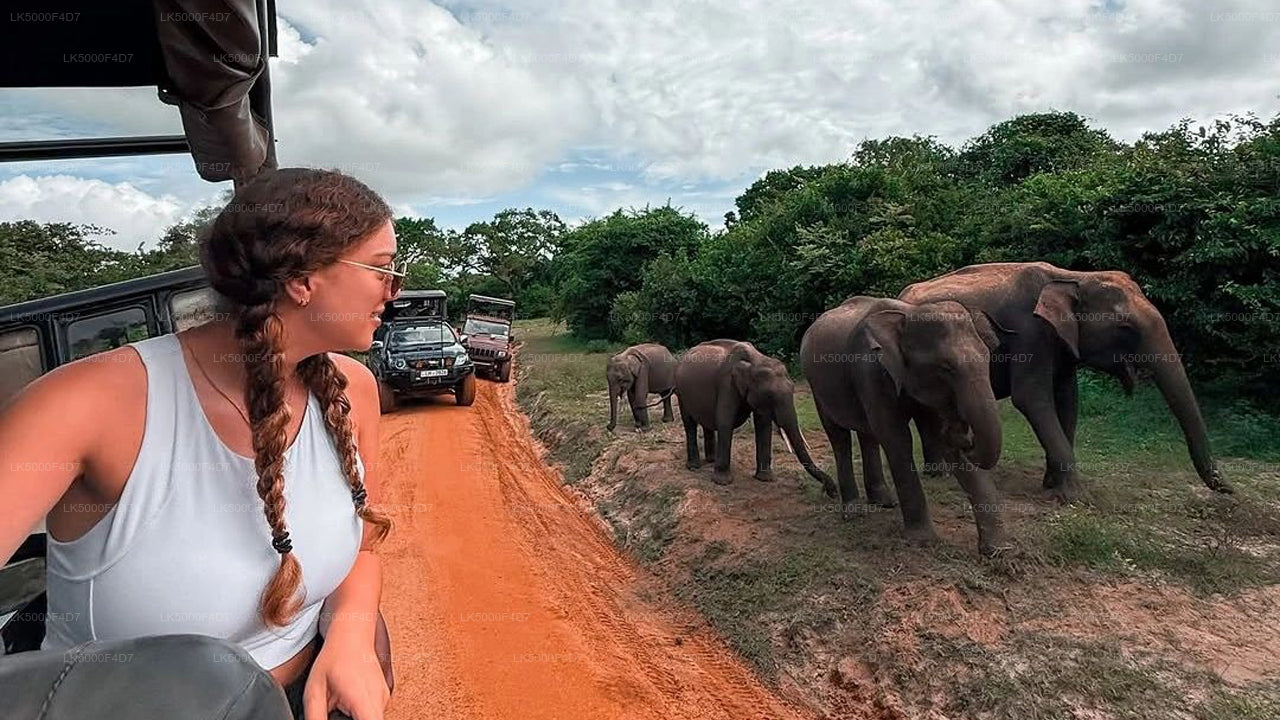 Privétour van Ella naar Hiriketiya met Yala Safari