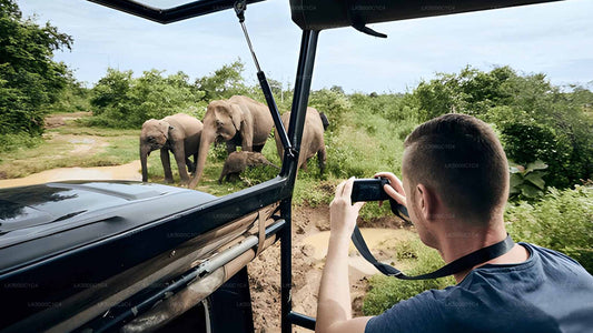 Privétour van Ella naar Hiriketiya met Udawalawe Safari
