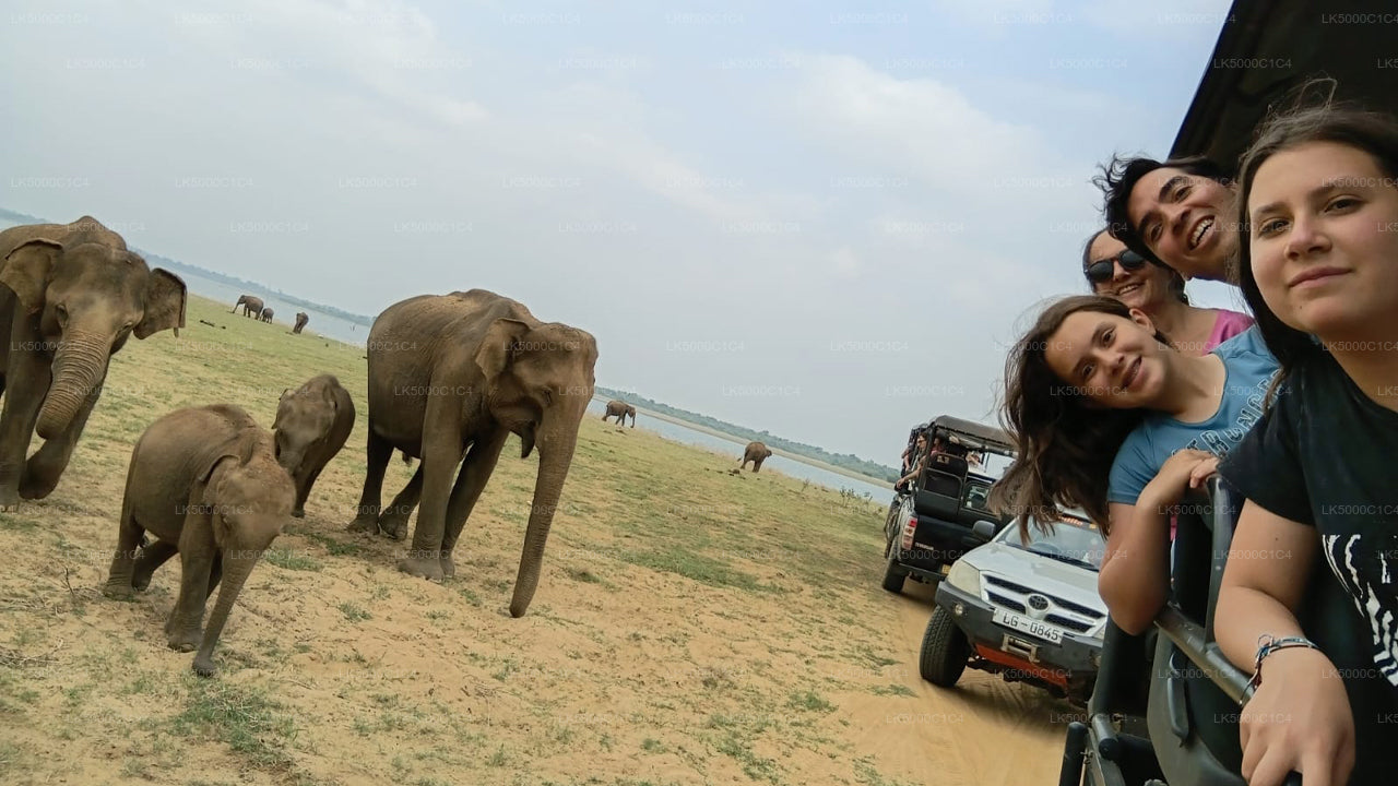 Privétour van Ella naar Hiriketiya met Udawalawe Safari
