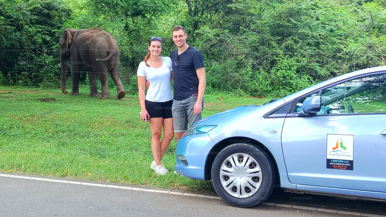 Privétour van Galle naar Ella met Udawalawe Safari