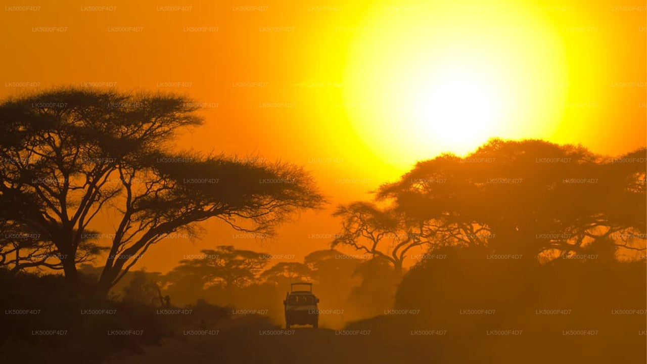 Privétour van Ella naar Hiriketiya met Yala Safari