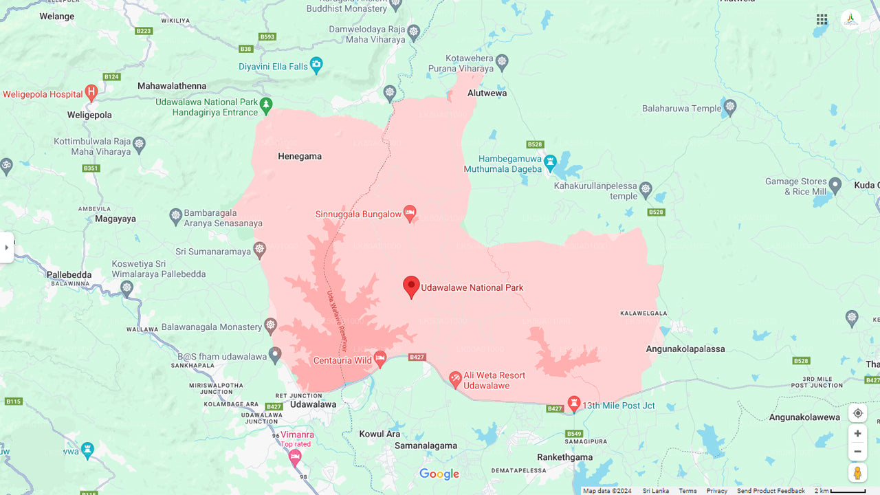 Privésafari in het nationale park Udawalawe