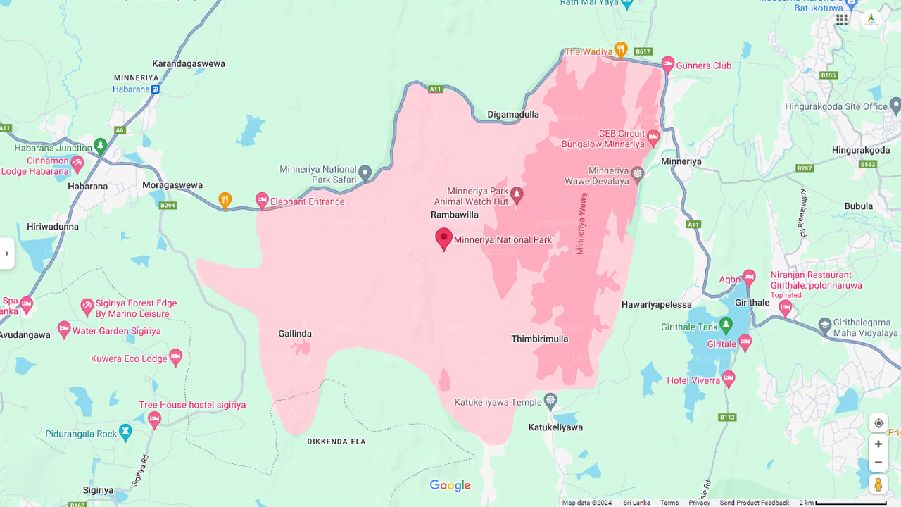 Privésafari in het nationale park Minneriya