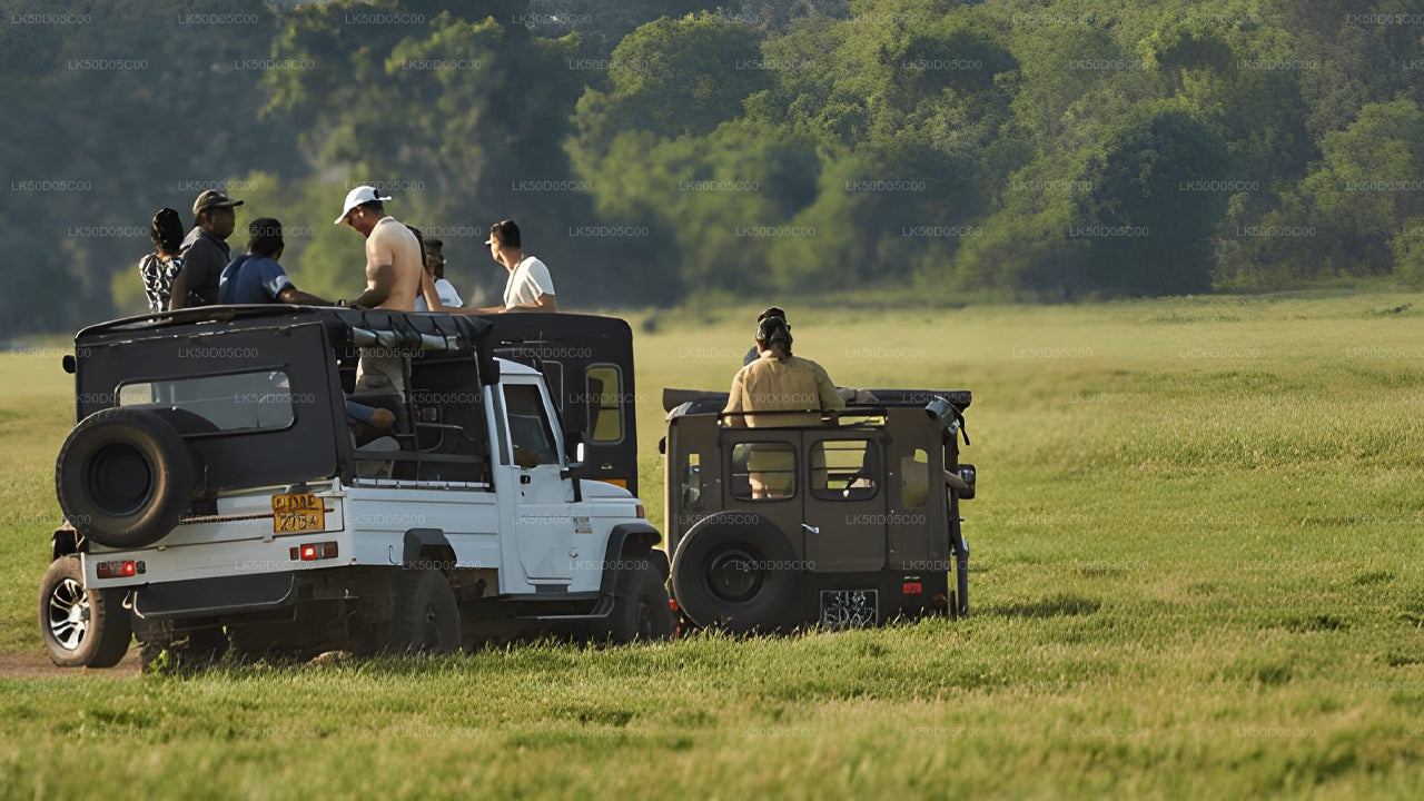 Privésafari naar Kaudulla National Park vanuit Sigiriya