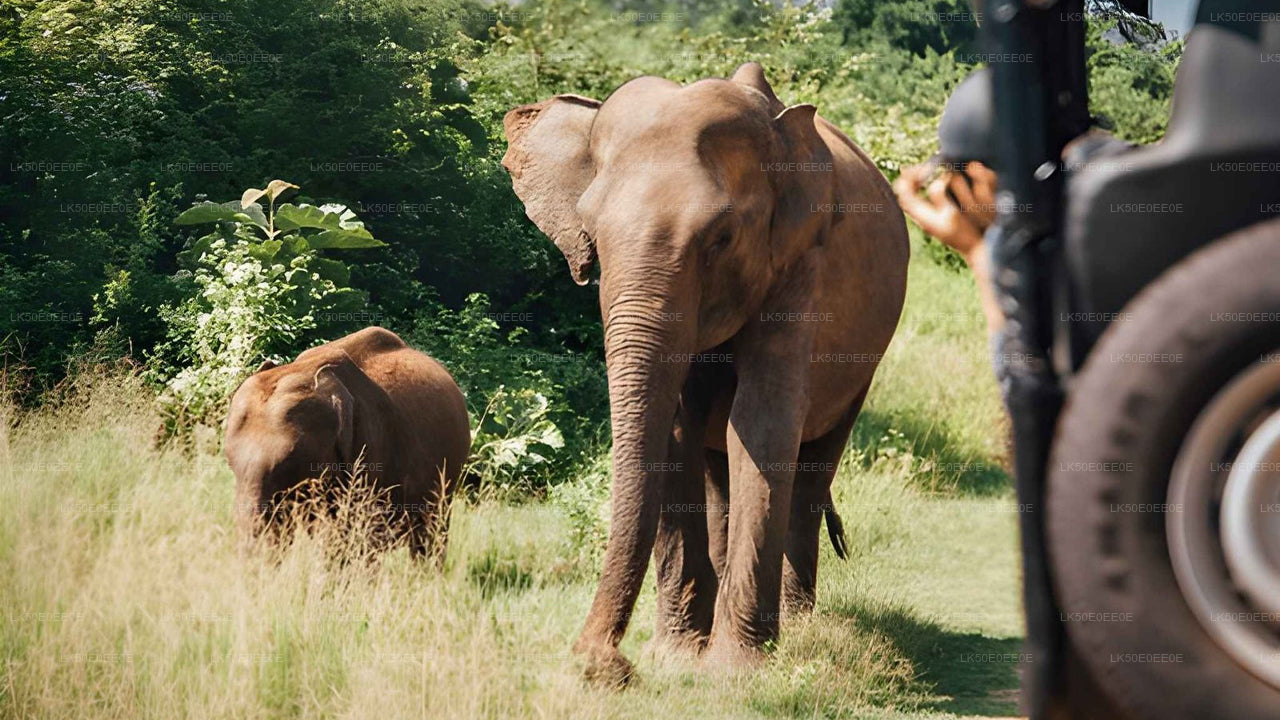 Hurulu Eco Park privésafari