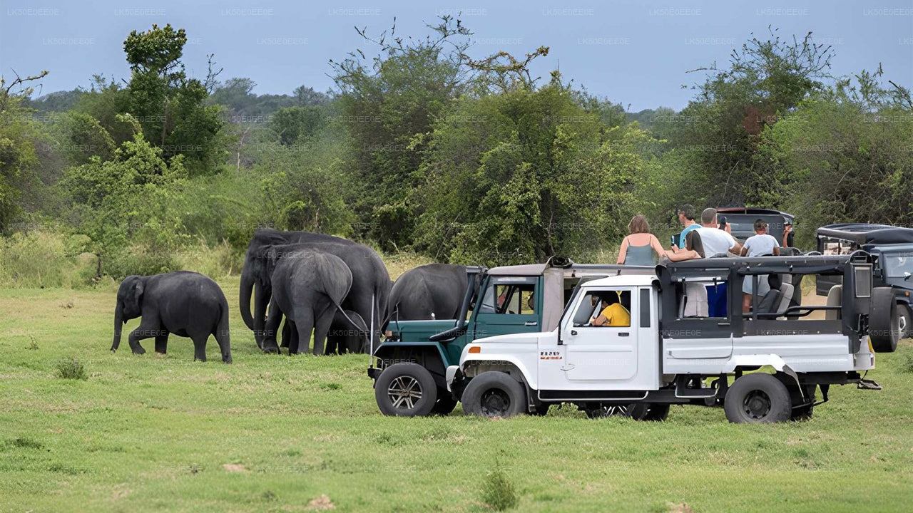 Hurulu Eco Park privésafari