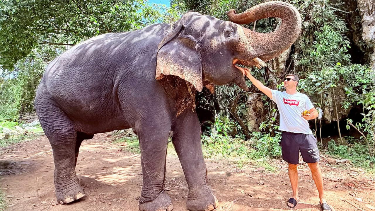 Elephant Riding From Boossa