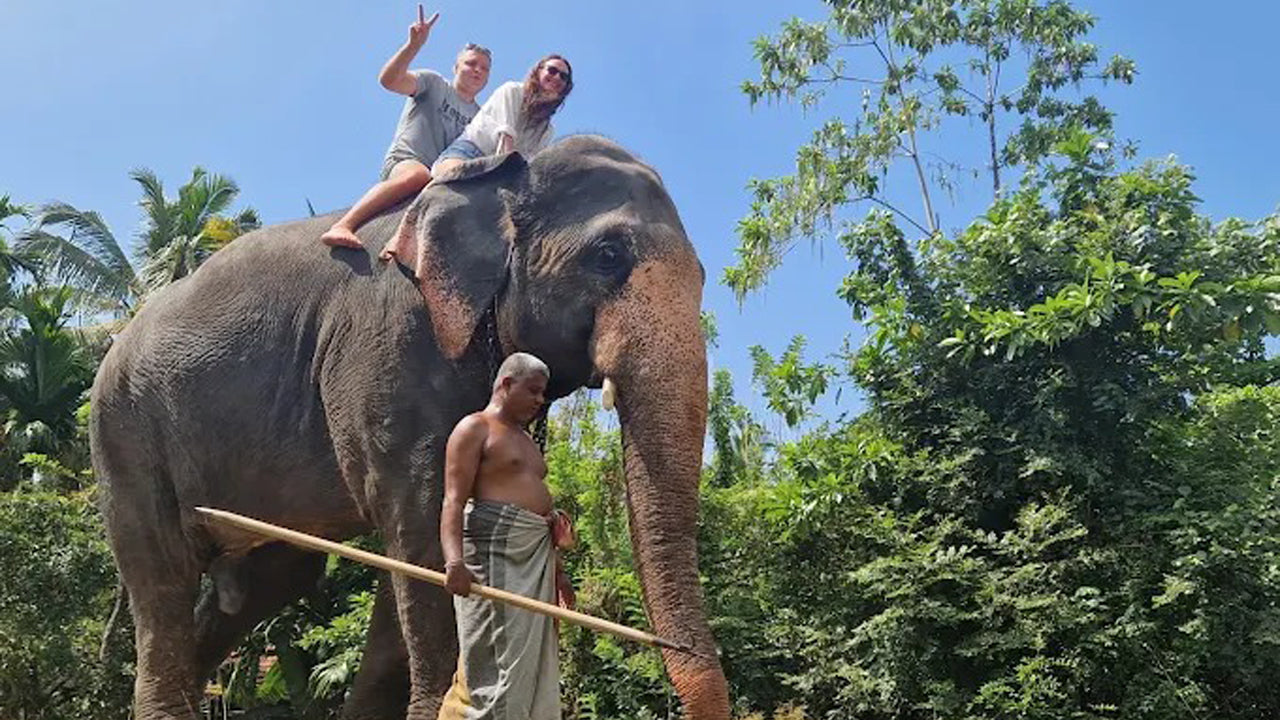 Elephant Riding From Boossa