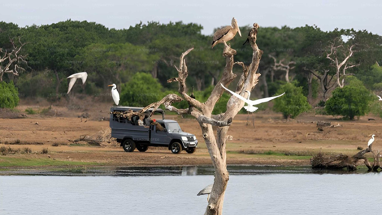 Privésafari in het nationale park Bundala