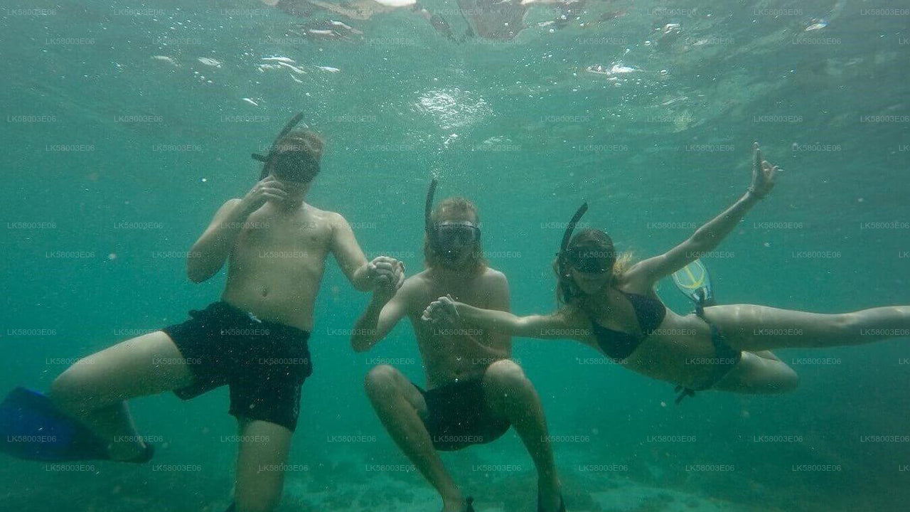 Snorkelen vanaf Ahangama