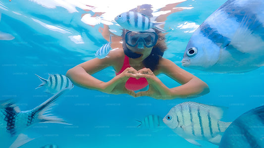Snorkelen met zeeschildpadden vanaf Pigeon Island.
