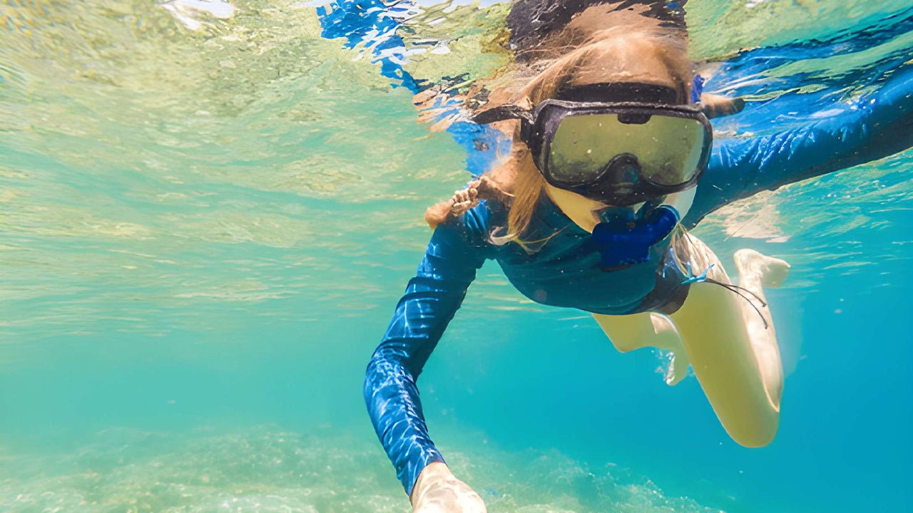 Snorkelen met zeeschildpadden vanuit Bentota