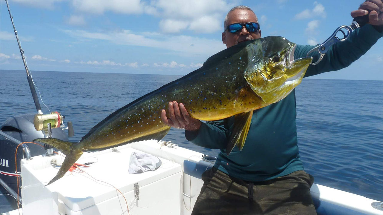 Troller vistocht vanuit Galle