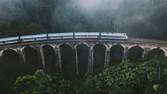 Train on a scenic railway bridge surrounded by lush greenery