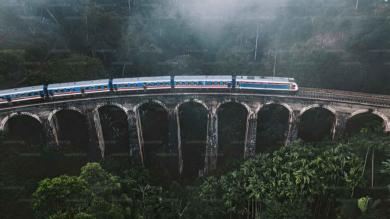 Train crossing a stone arch bridge in a forested area