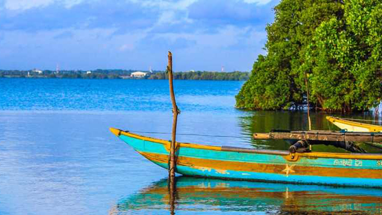 Stadstour door Negombo vanuit Colombo