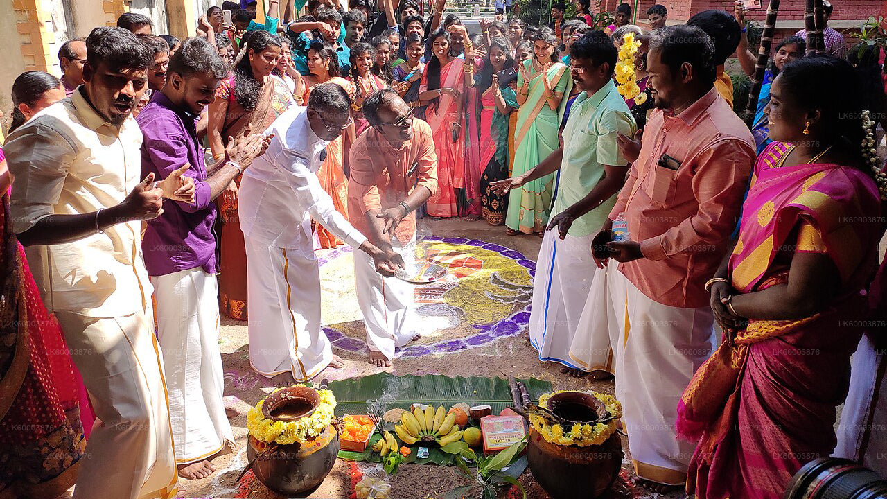 Kandapola Tamil culturele ervaring vanuit Nuwara Eliya