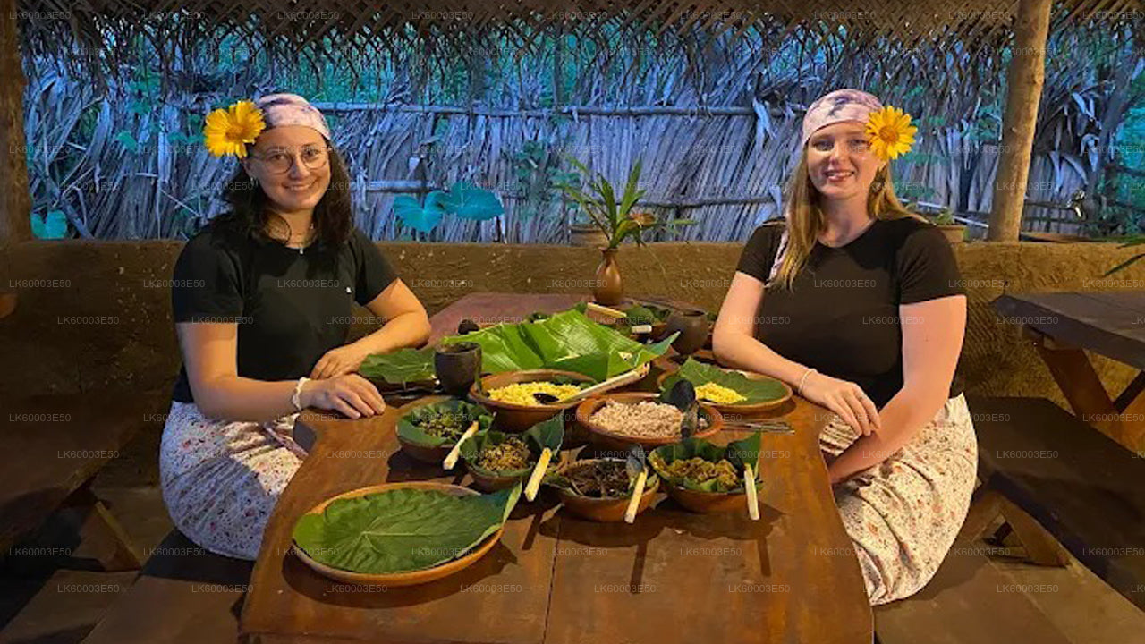 Sri Lankaanse landbouw-, edelsteenmijn- en dorpservaring door Ceylon 1850