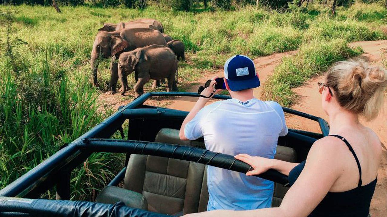 Hurulu Eco Park Safari-dagtrip vanuit Pasikuda