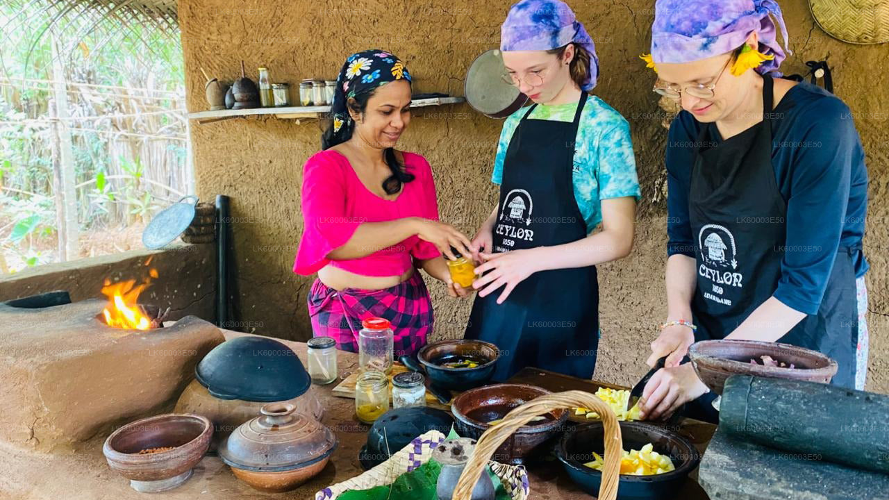 Sri Lankaanse landbouw-, edelsteenmijn- en dorpservaring door Ceylon 1850