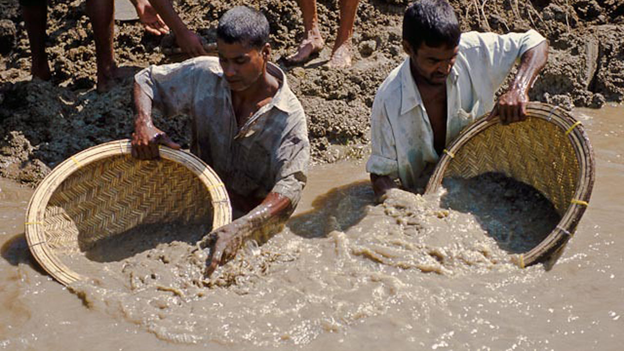 Sri Lankaanse landbouw-, edelsteenmijn- en dorpservaring door Ceylon 1850