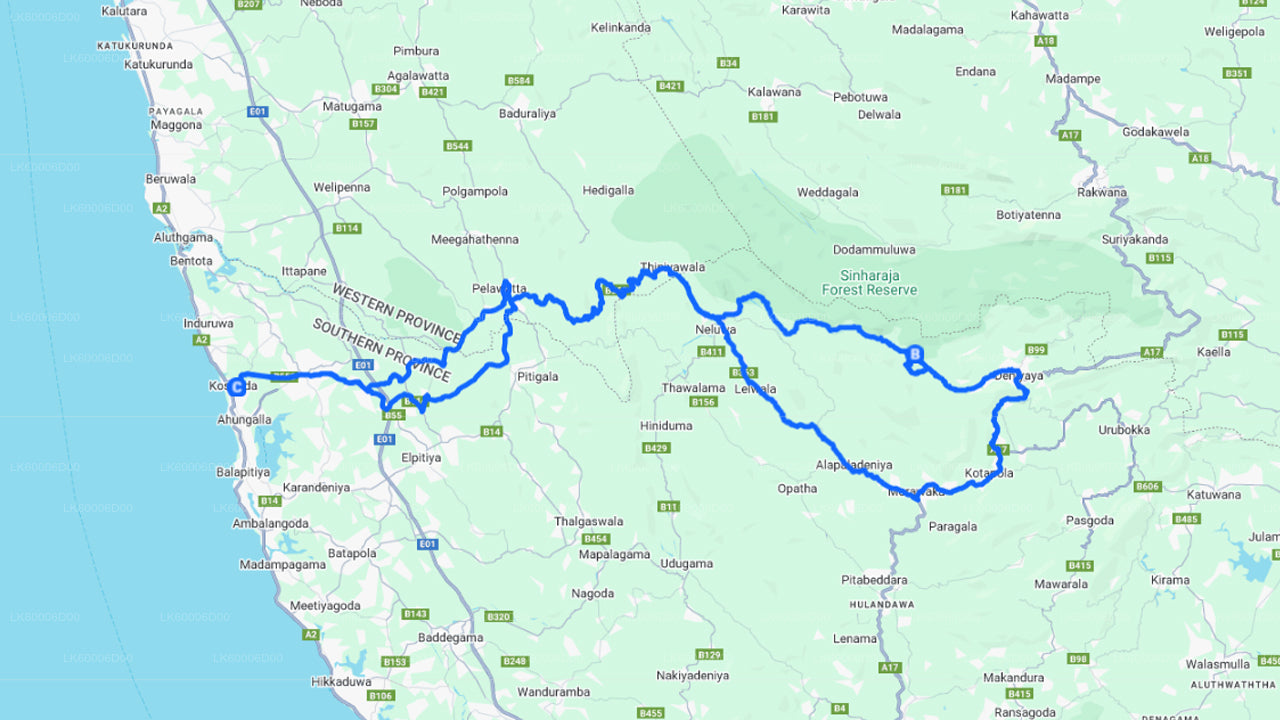 Rondleiding door het Sinharaja-regenwoud vanuit Kosgoda