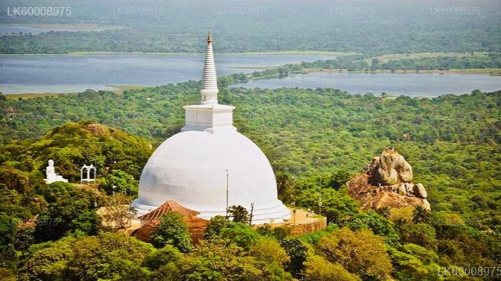 Sacred City of Anuradhapura from Trincomalee
