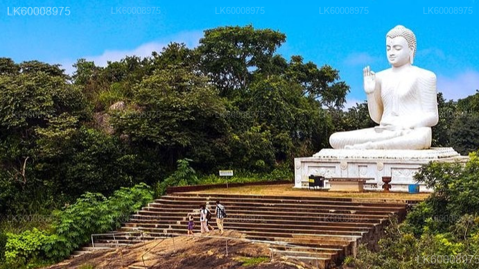Sacred City of Anuradhapura from Trincomalee