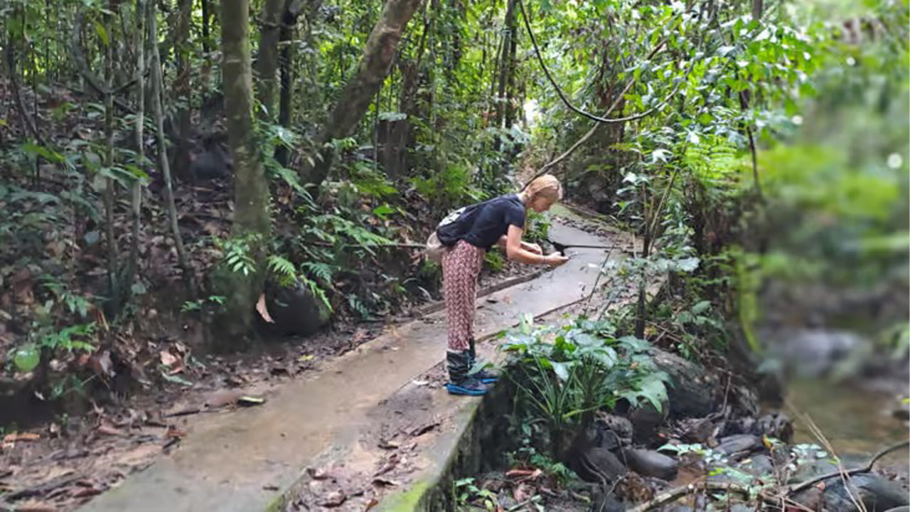 Dagtocht naar het Sinharaja-regenwoud vanuit Ahangama