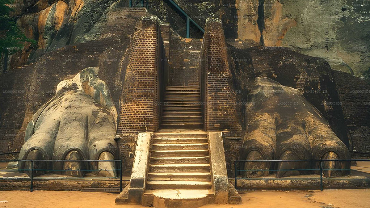 Sigiriya Rock, Village Experience and Wildlife Safari from Pasikuda