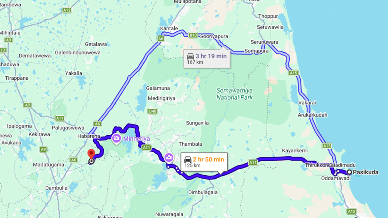 Sigiriya Rock, Village Experience and Wildlife Safari from Pasikuda
