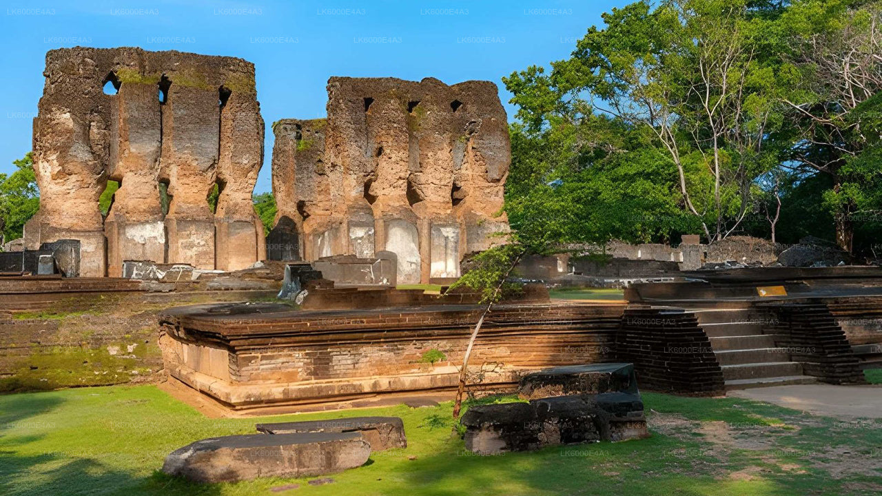 Polonnaruwa Heritage en Hurulu Eco Park Safari vanuit Pasikuda