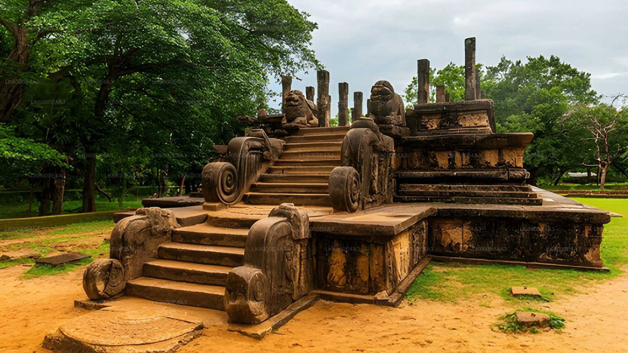 Polonnaruwa Heritage en Hurulu Eco Park Safari vanuit Pasikuda