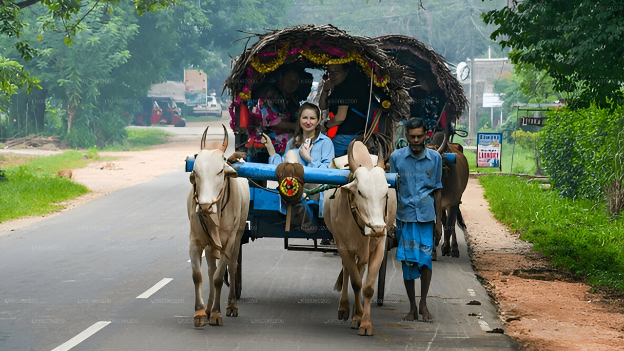 Traditional ox-drawn cart with passengers on a road surrounded by greenery