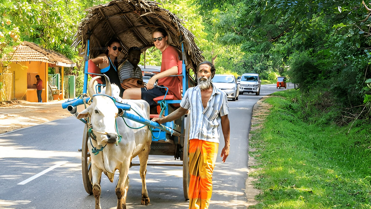 Oxcart with passengers on a road surrounded by greenery