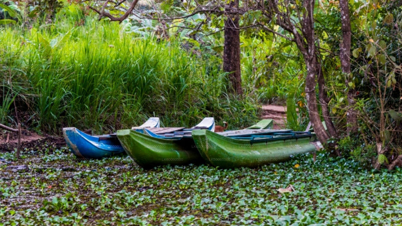 Hiriwadunna-dorpstour vanuit Habarana