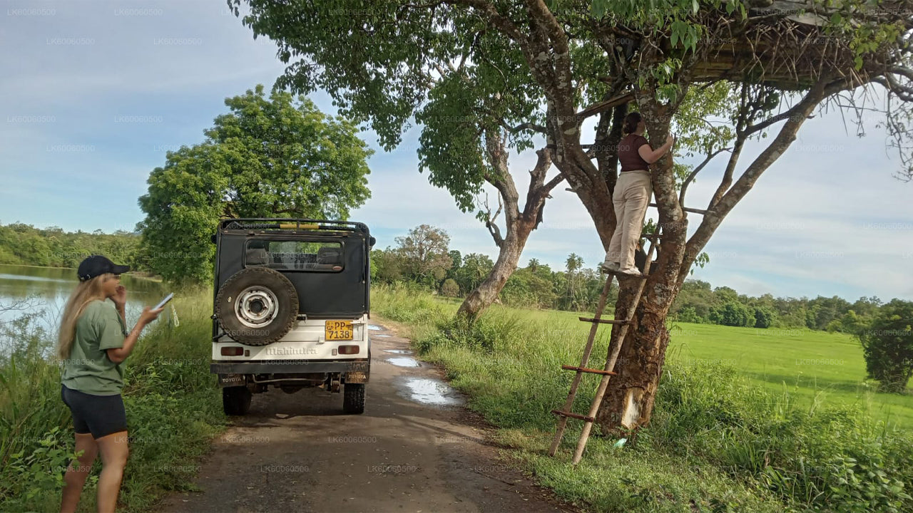Hiriwadunna-dorpstour vanuit Habarana