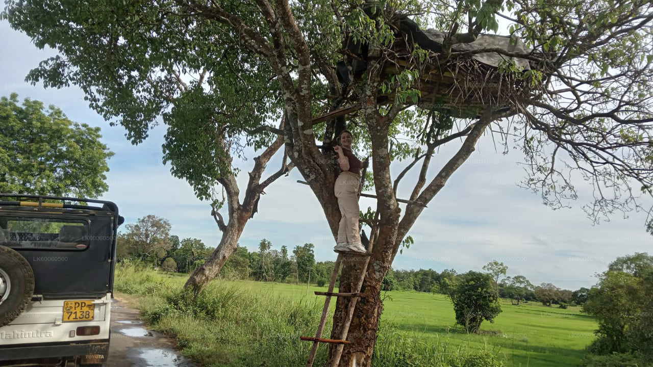 Hiriwadunna-dorpstour vanuit Habarana