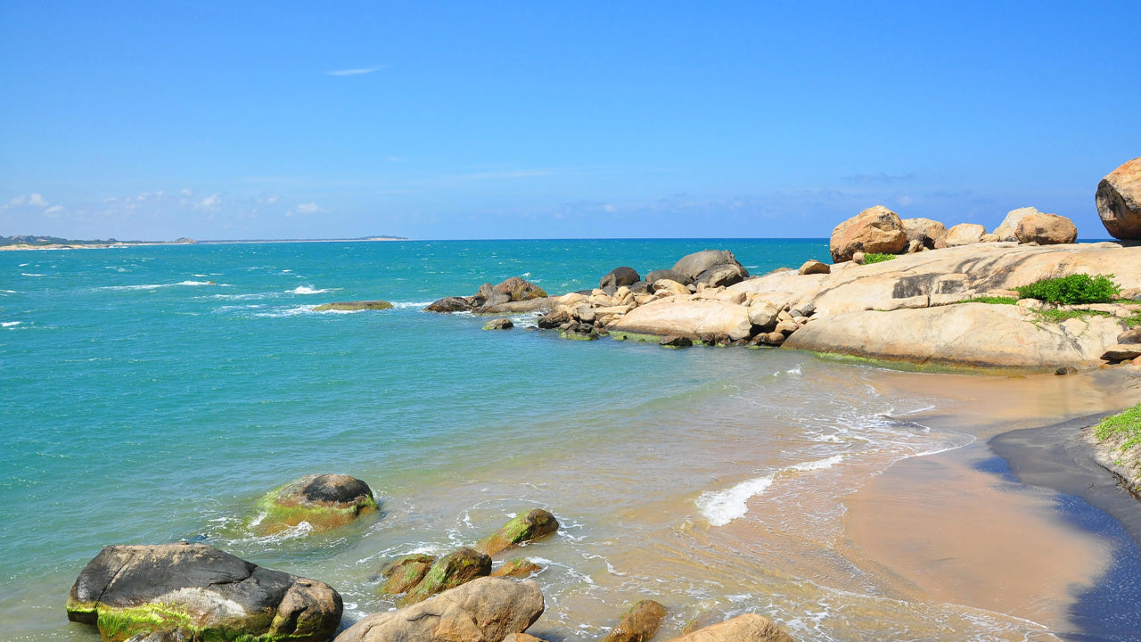 Kumana Countryside and Wildlife Tour from Arugambay