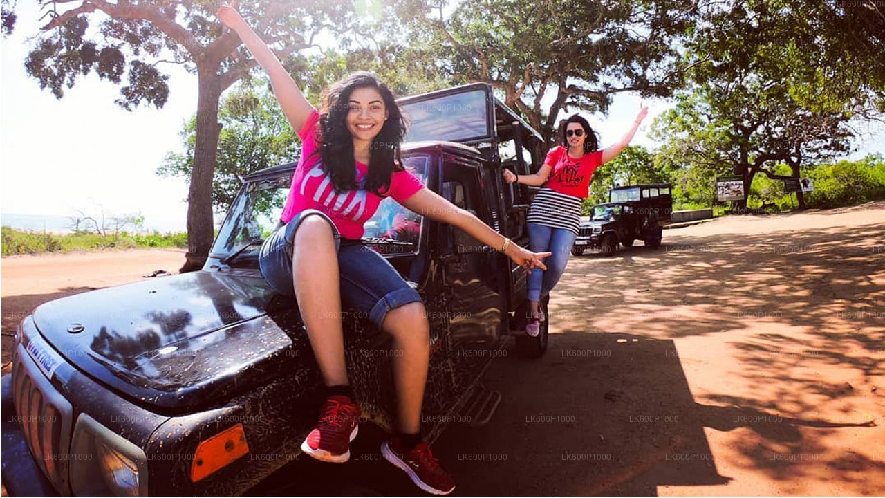 Yala Nationaal Park Safari vanuit Kalutara