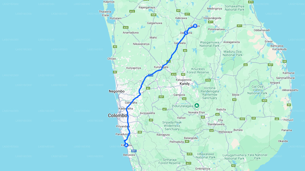 Sigiriya Rock en Dambulla Cave uit Kalutara