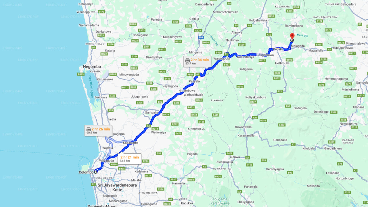 Millennium Elephant Foundation uit Colombo