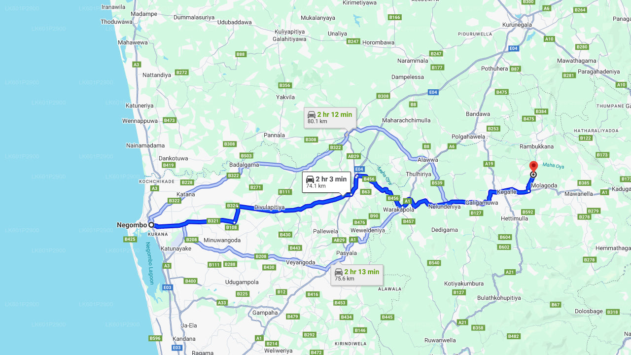 Millennium Elephant Foundation uit Negombo