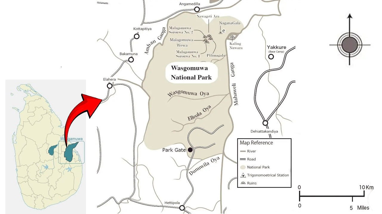 Safari in het nationale park Wasgamuwa vanuit Kandy