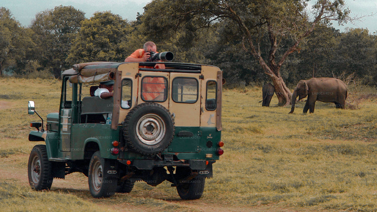 Privétour van Mirissa naar Ella met Udawalawe Safari