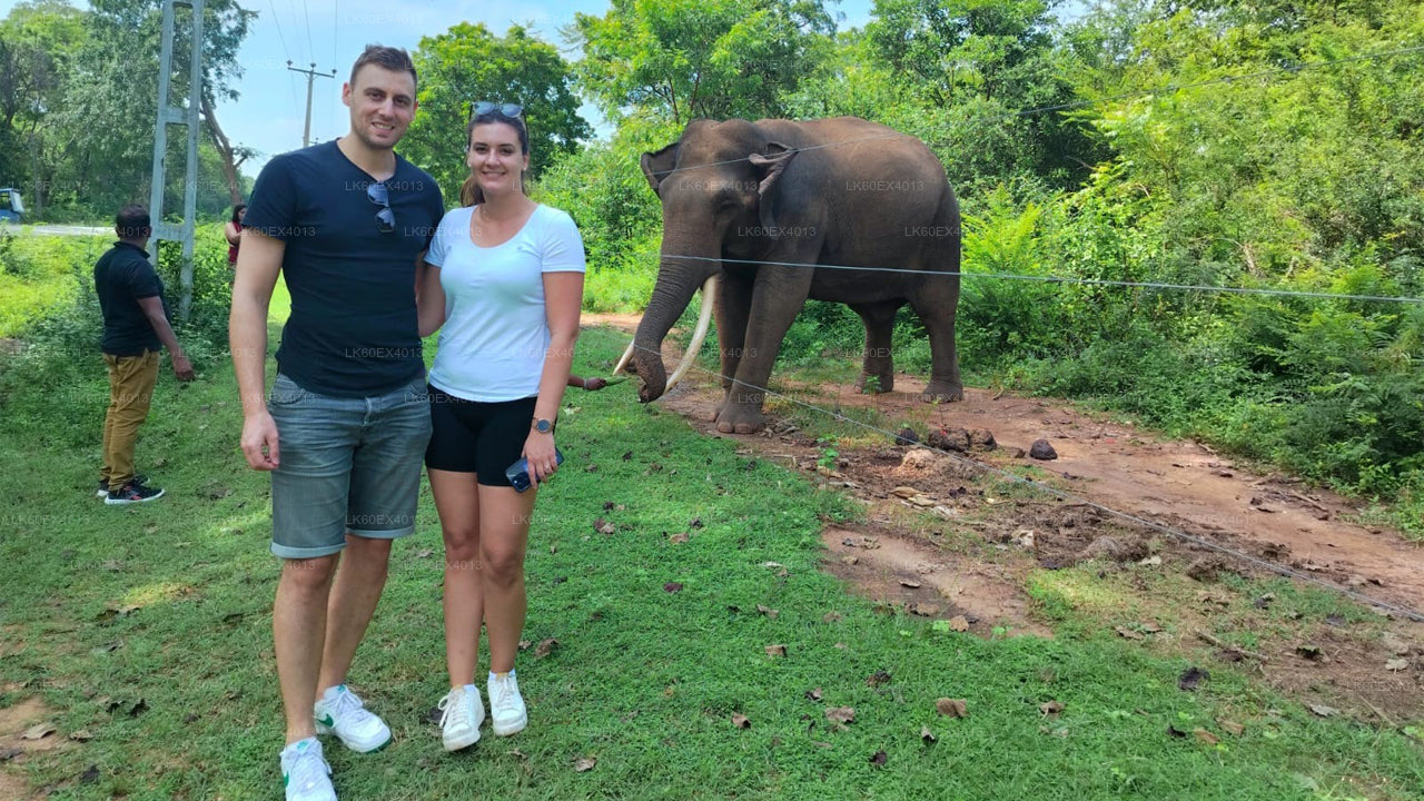 Privétour van Mirissa naar Ella met Udawalawe Safari