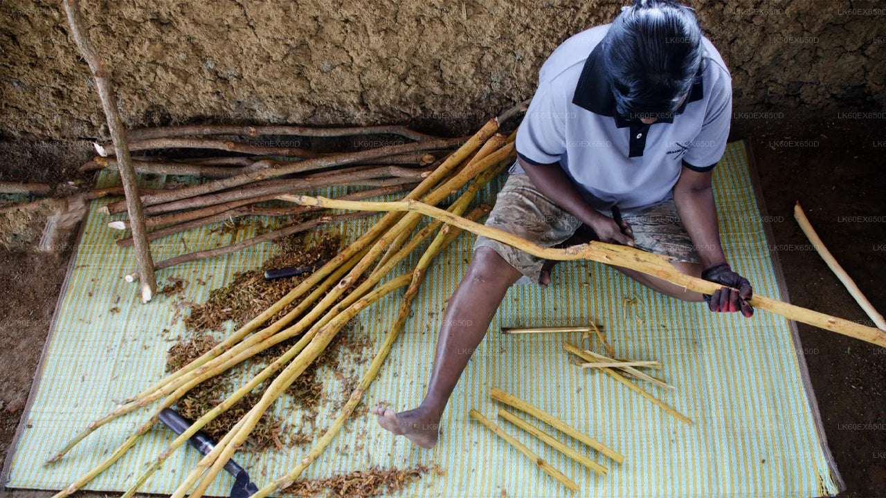 Private Cinnamon Experience from Weligama